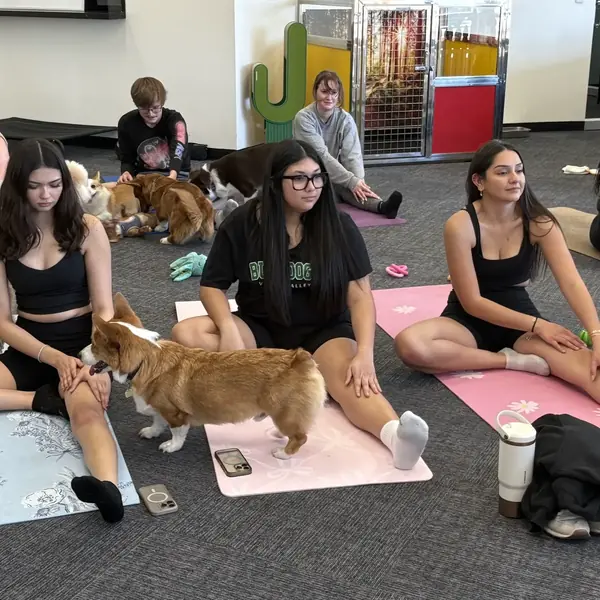 Puppy cuddles during a yoga session